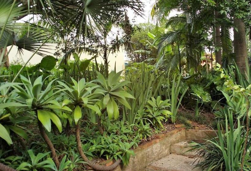 بنسيون Suítes Brotas City