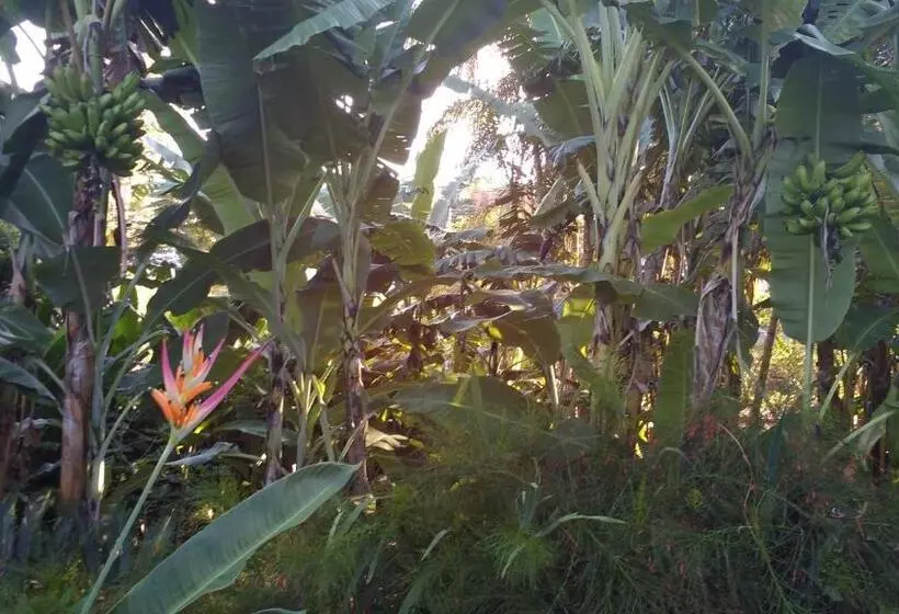 Majatalo Suítes Brotas City