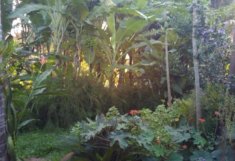 بنسيون Suítes Brotas City