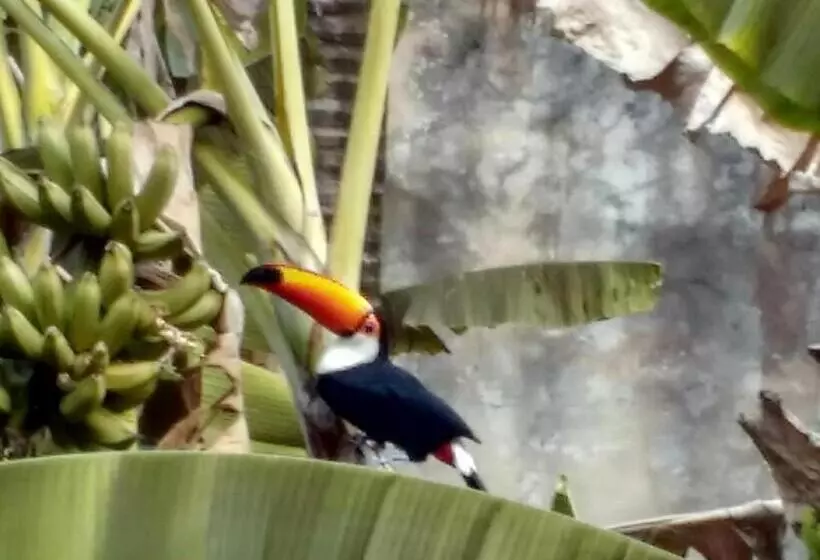 Majatalo Suítes Brotas City