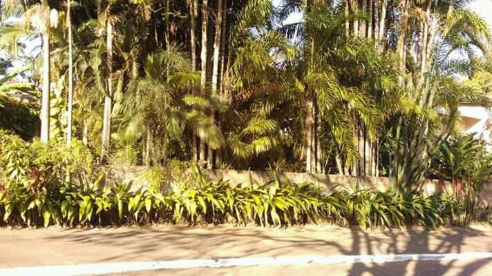 بنسيون Suítes Brotas City