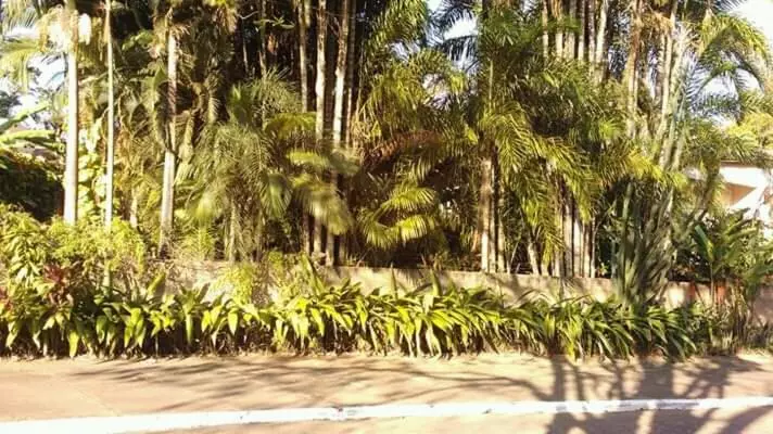 Majatalo Suítes Brotas City