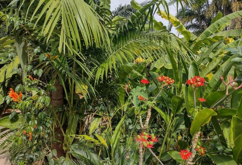 بنسيون Suítes Brotas City