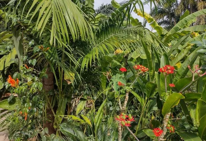 Majatalo Suítes Brotas City