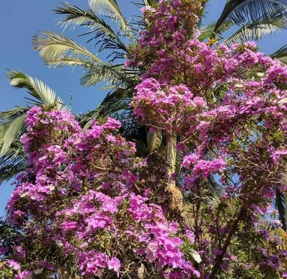 Majatalo Suítes Brotas City