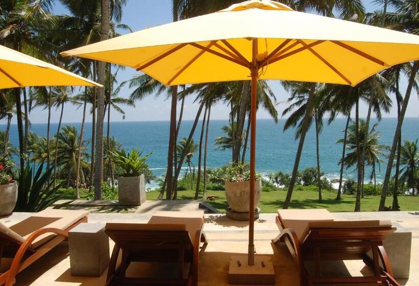 ペンション The Saffron House