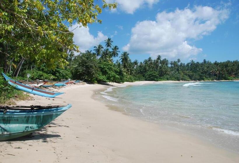 ペンション The Saffron House