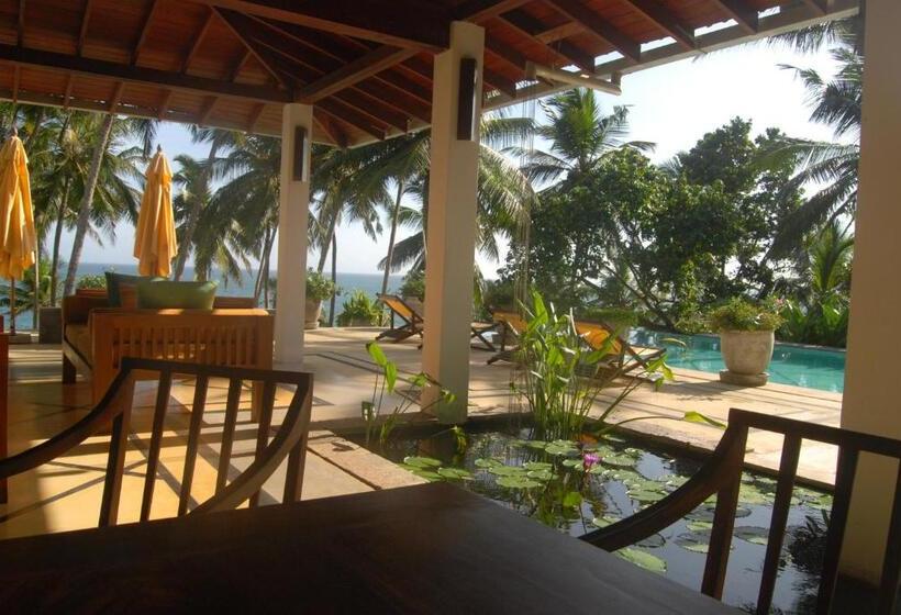 ペンション The Saffron House