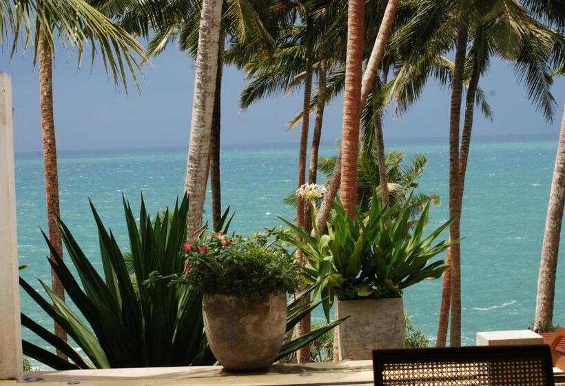 ペンション The Saffron House