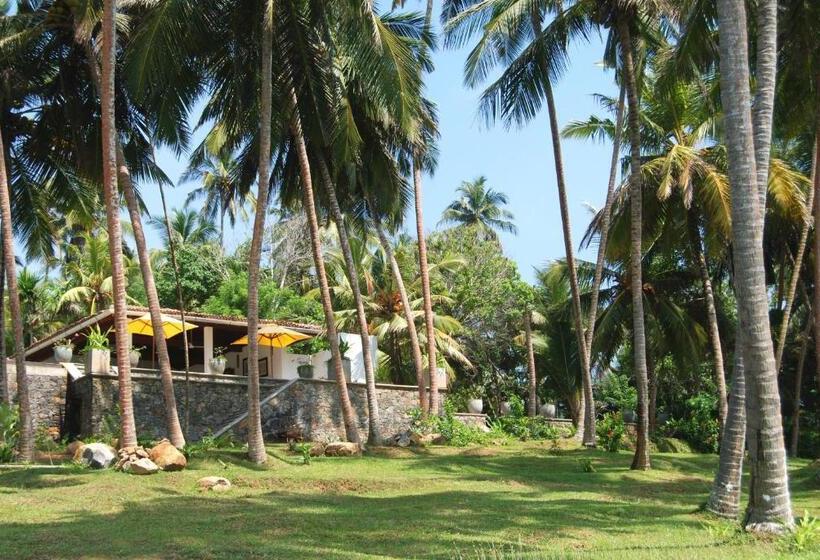 ペンション The Saffron House