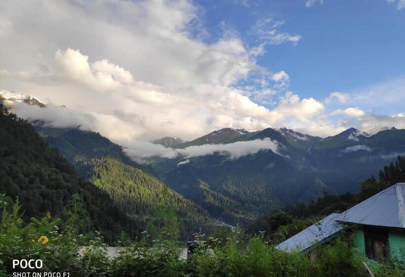 פנסיון Third Eye Tosh