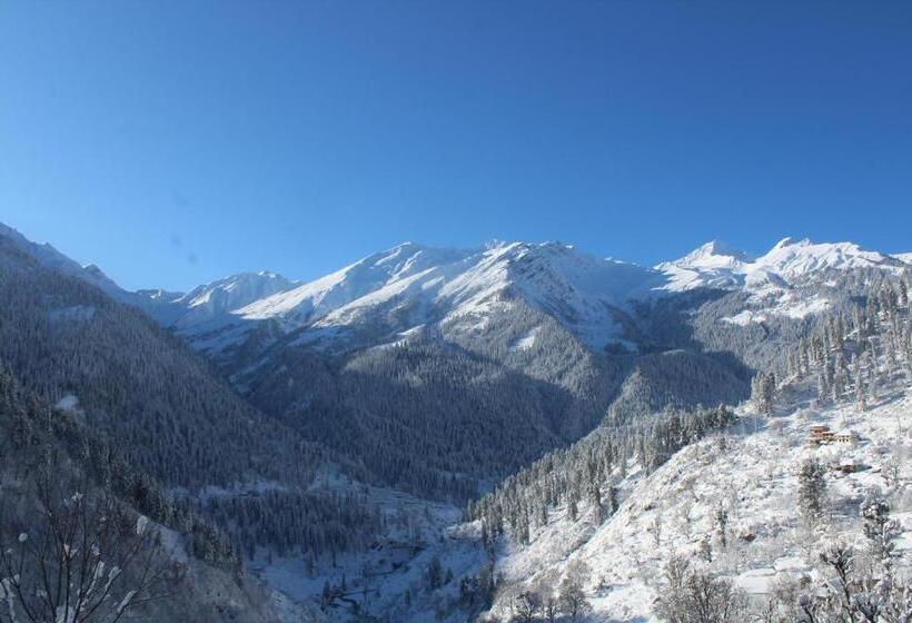 פנסיון Third Eye Tosh