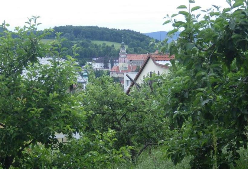 פנסיון Ubytování U Dolanských