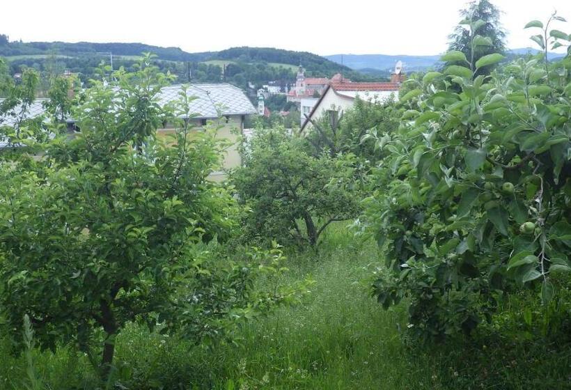 פנסיון Ubytování U Dolanských