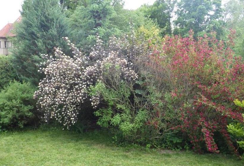 פנסיון Ubytování U Dolanských