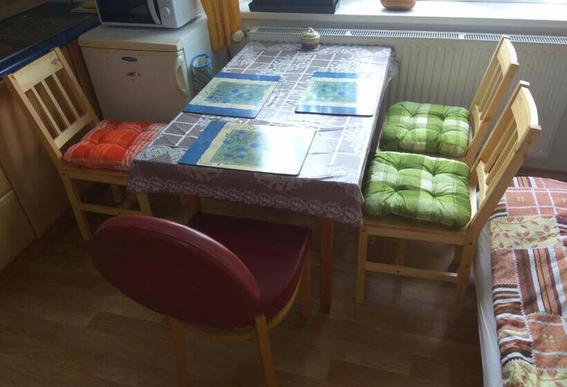 פנסיון Ubytování U Dolanských