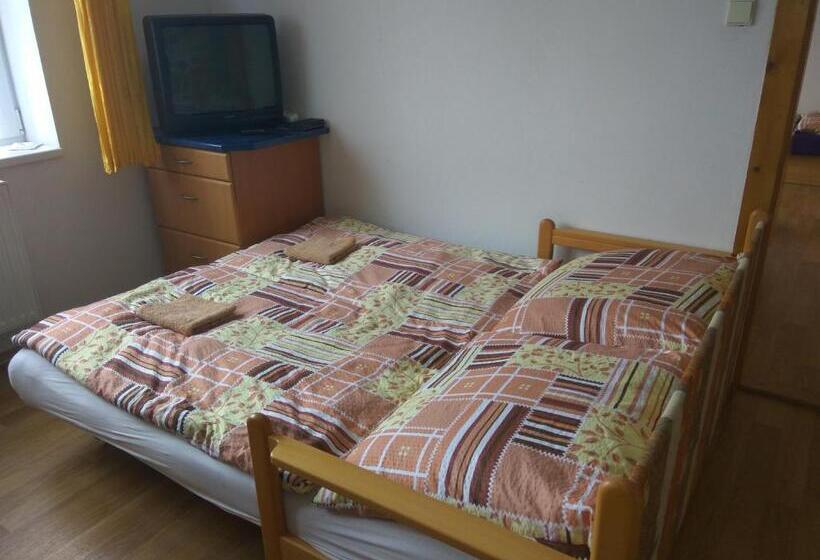 פנסיון Ubytování U Dolanských