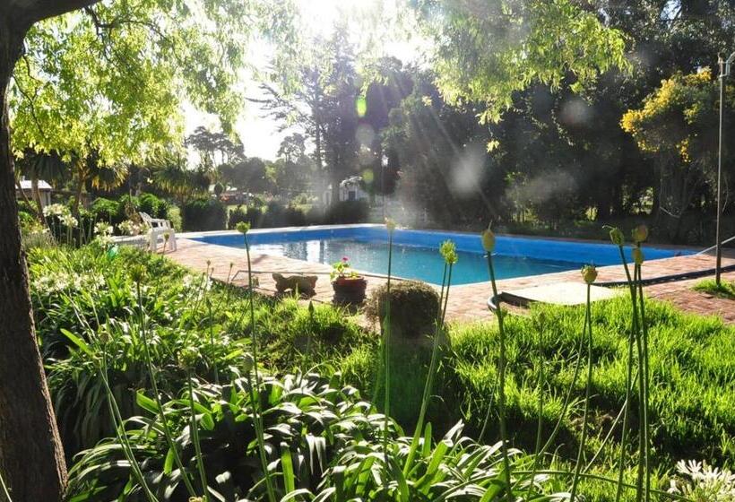 호스텔 La Posada Del Mar