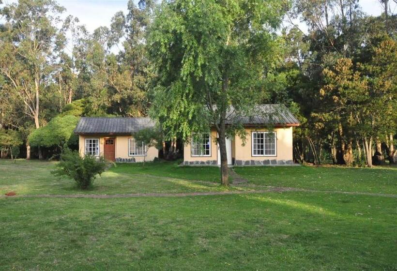 호스텔 La Posada Del Mar