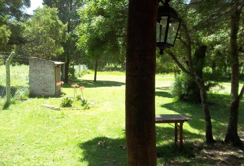 호스텔 La Posada Del Mar