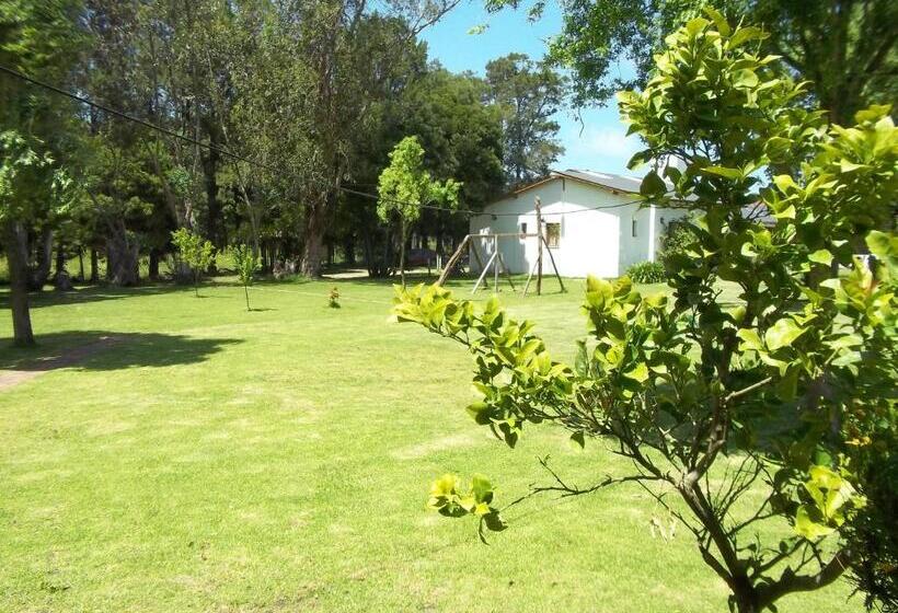 호스텔 La Posada Del Mar