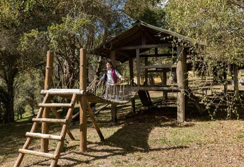 הוסטל Pousada Bicho Do Mato