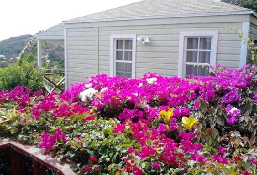 هاستل The Ocean Inn Antigua