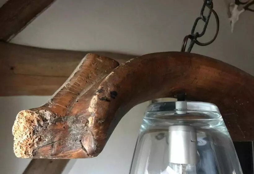 Aamiaismajoitus (B&B) Boerensuite, Heerlijk Verblijf In Het Karschop