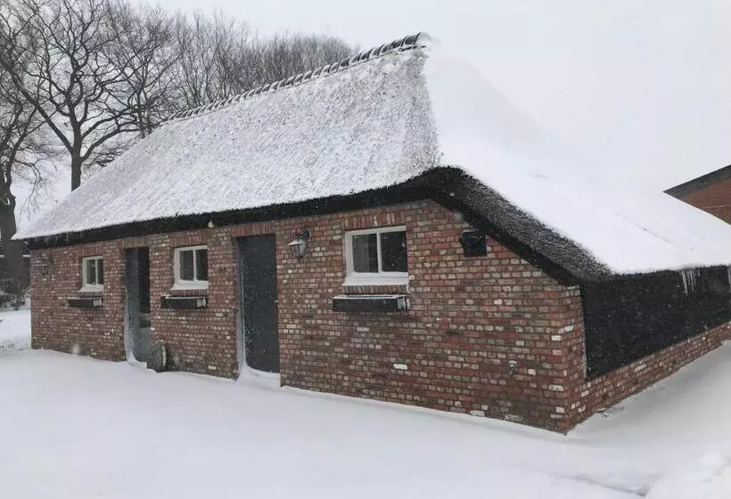 Aamiaismajoitus (B&B) Boerensuite, Heerlijk Verblijf In Het Karschop