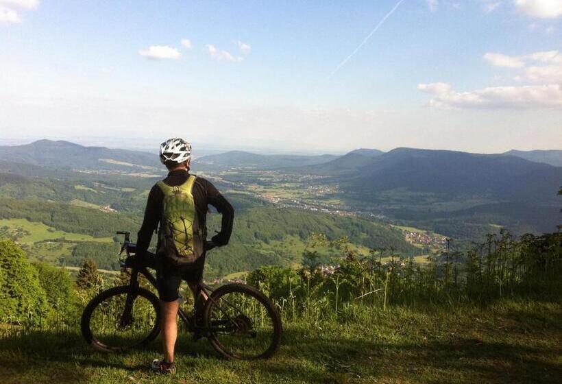 Bed and Breakfast Chambre D Hôtes La Forestière