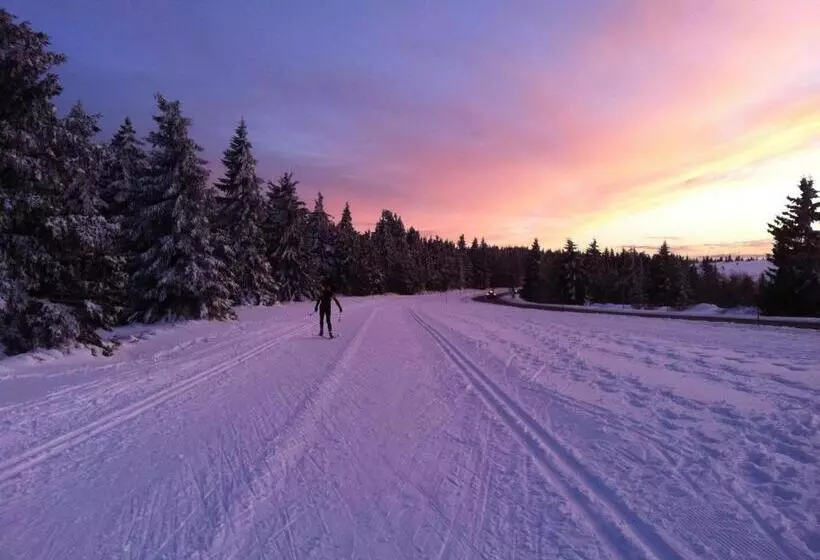 Aamiaismajoitus (B&B) Chambre D Hôtes La Forestière