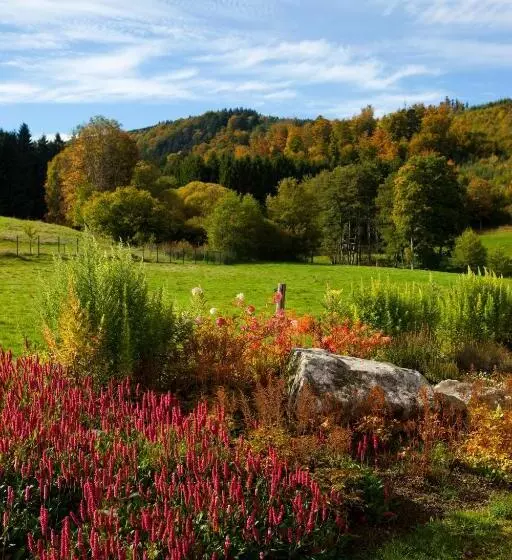 Aamiaismajoitus (B&B) Chambre D Hôtes La Forestière