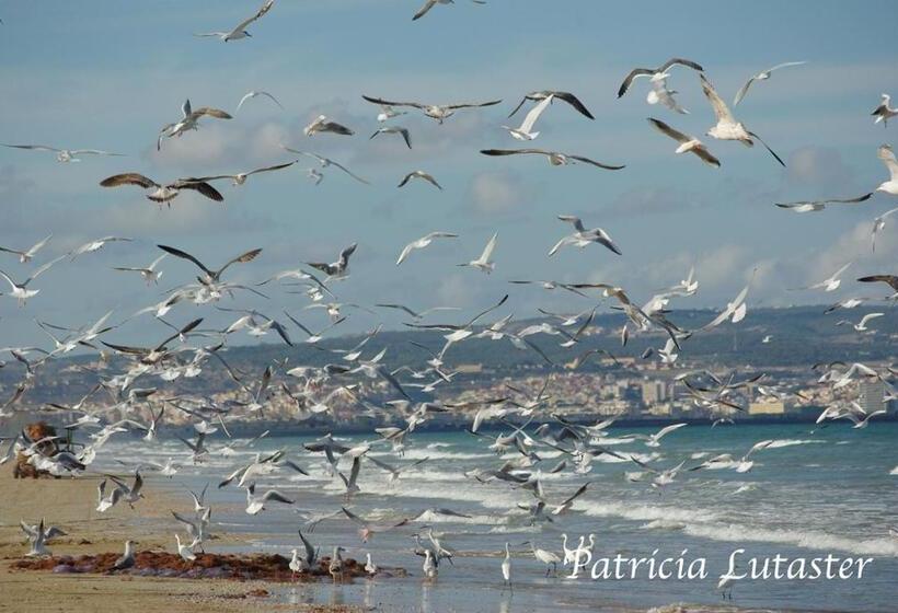 Bed & Breakfast Issablanca