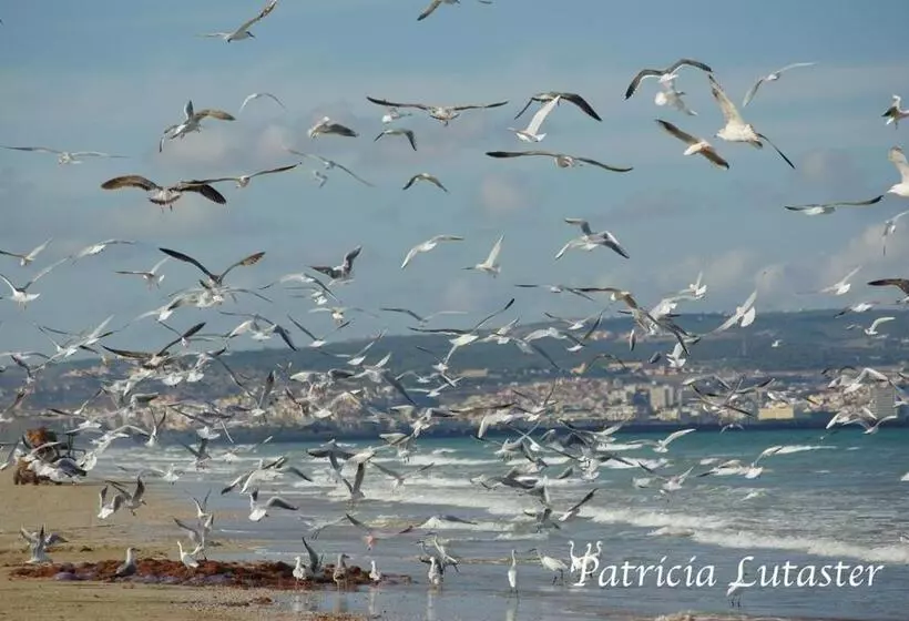 Aamiaismajoitus (B&B) Issablanca