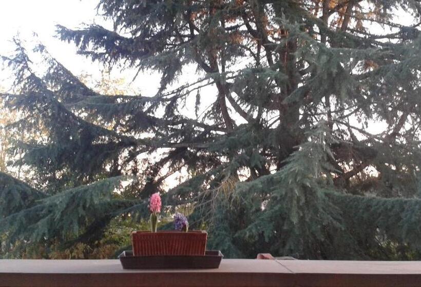 Bed and Breakfast Lupo Azzurro