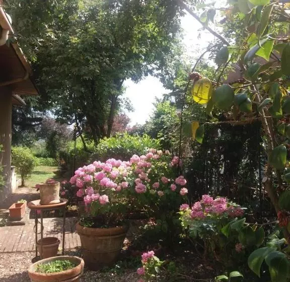 Aamiaismajoitus (B&B) Lupo Azzurro