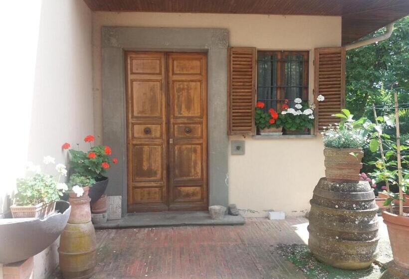 Bed and Breakfast Lupo Azzurro