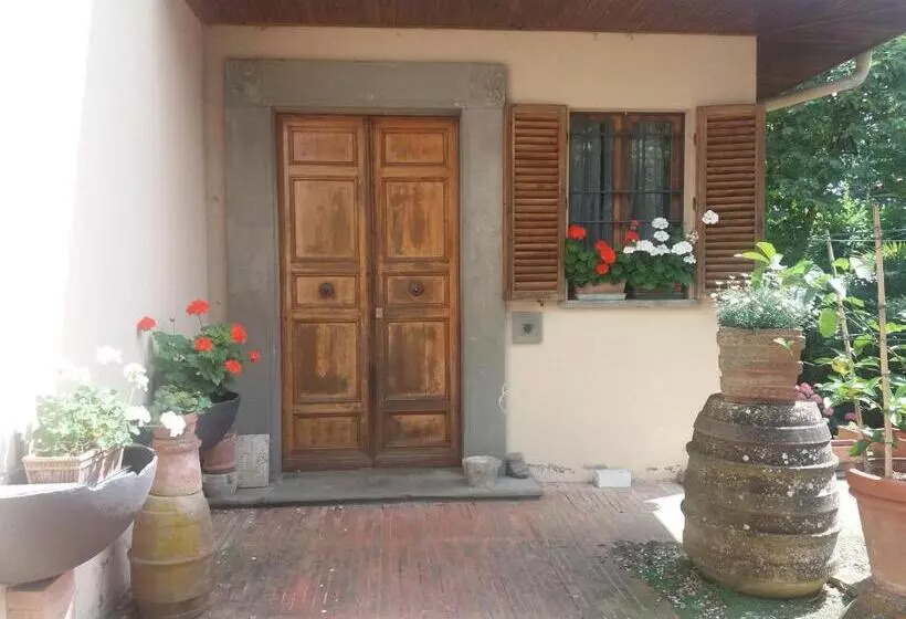 Aamiaismajoitus (B&B) Lupo Azzurro