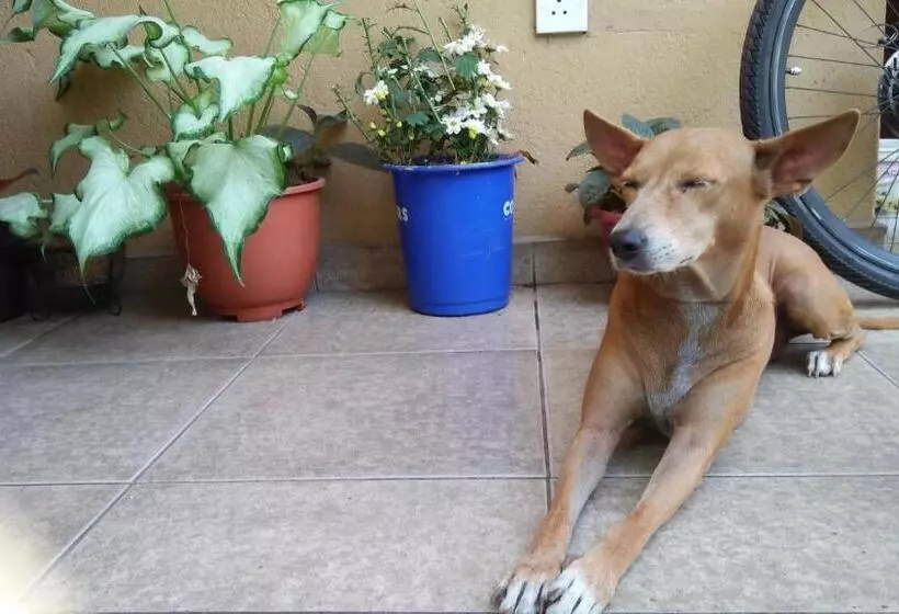 ベッドアンドブレックファースト Mini S Residence