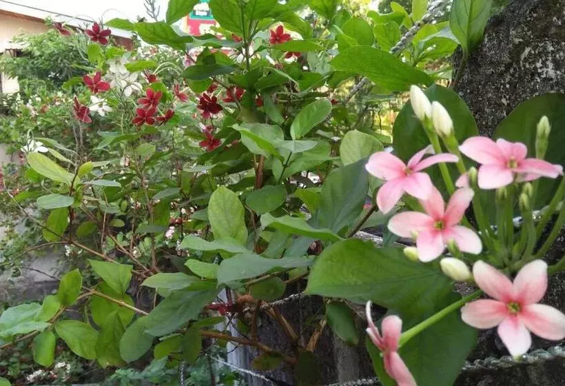 ベッドアンドブレックファースト Mini S Residence