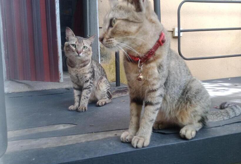 צימר Mini S Residence