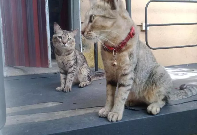 ベッドアンドブレックファースト Mini S Residence