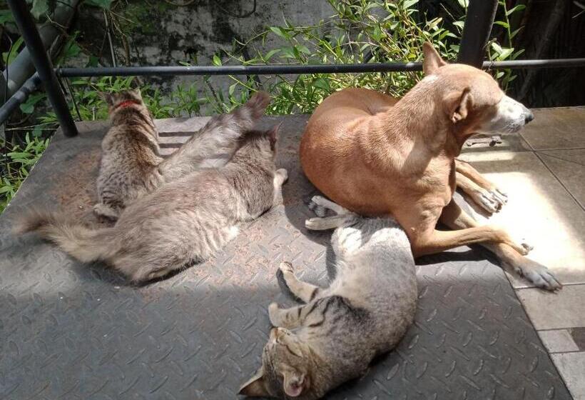 צימר Mini S Residence