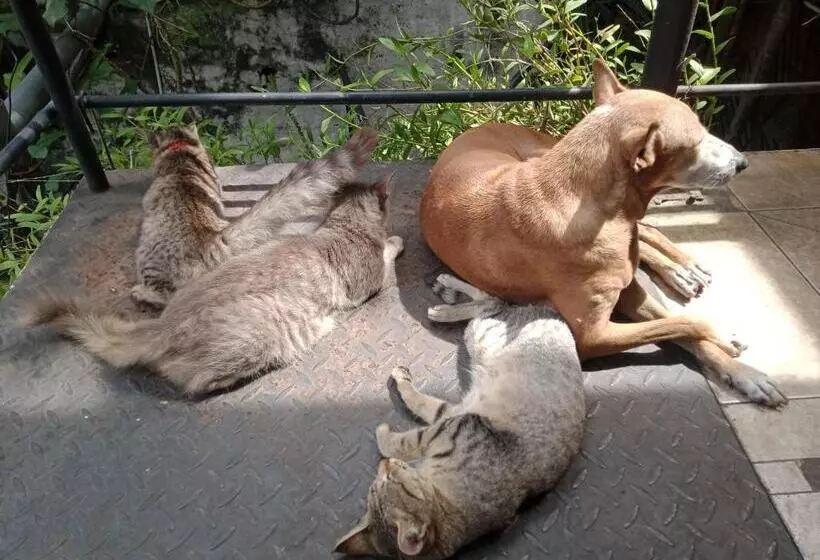 ベッドアンドブレックファースト Mini S Residence