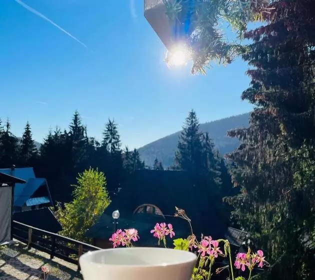 Aamiaismajoitus (B&B) Pensiunea Panoramic