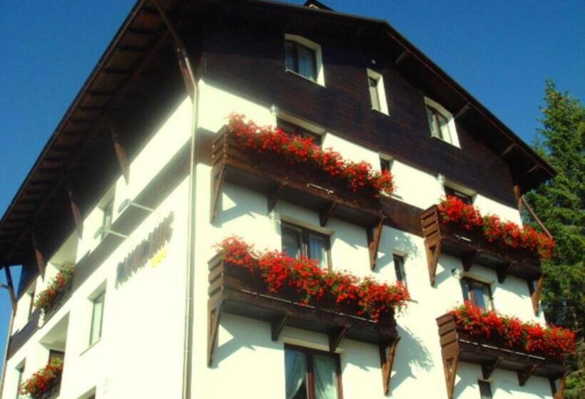 تختخواب و صبحانه Pensiunea Panoramic