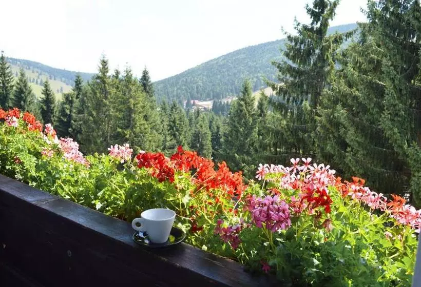 Aamiaismajoitus (B&B) Pensiunea Panoramic