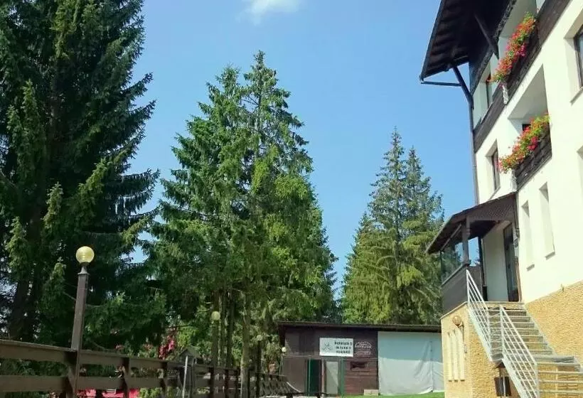 Aamiaismajoitus (B&B) Pensiunea Panoramic