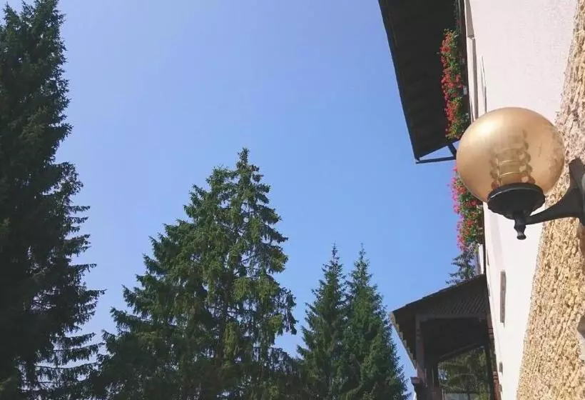 Aamiaismajoitus (B&B) Pensiunea Panoramic