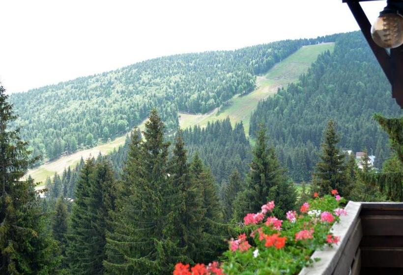 تختخواب و صبحانه Pensiunea Panoramic